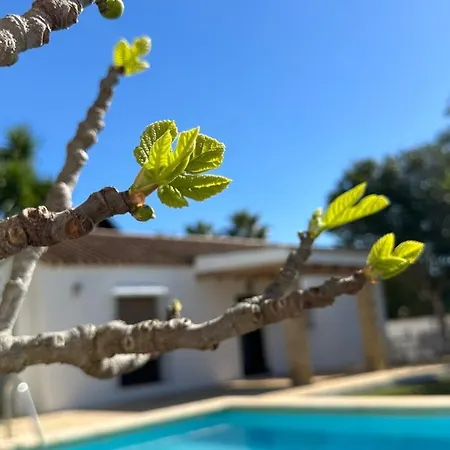 Vivienda Rural Atlantico Sur & Familias Country house Conil De La Frontera